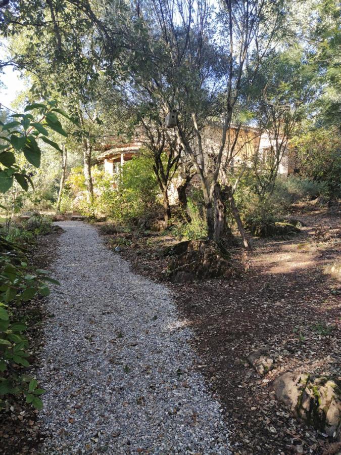 Casa La Indiana Villa Fuenteheridos Dış mekan fotoğraf